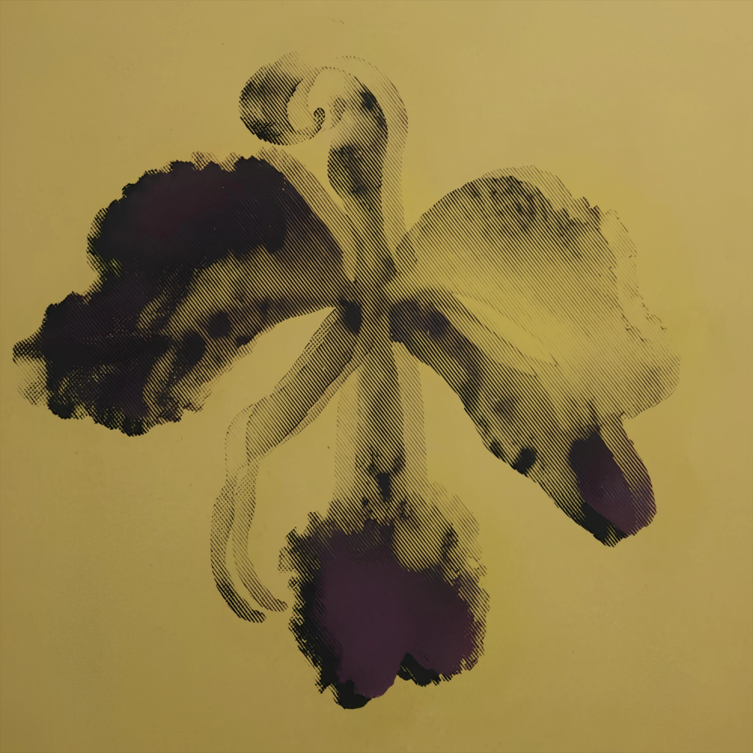 Orquídea y Diente de León · V